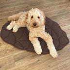 Leaf‑Shaped Dog Beds & Pet Mats