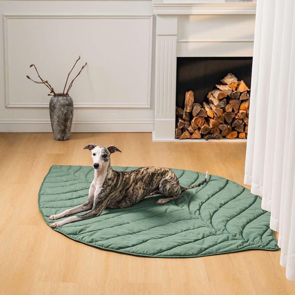 Leaf‑Shaped Dog Beds & Pet Mats
