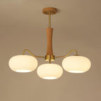 Retro Glass Globe Chandelier Mid-Century Ceiling Light Design