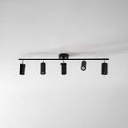 Adjustable Ceiling Lights for Modern Interiors