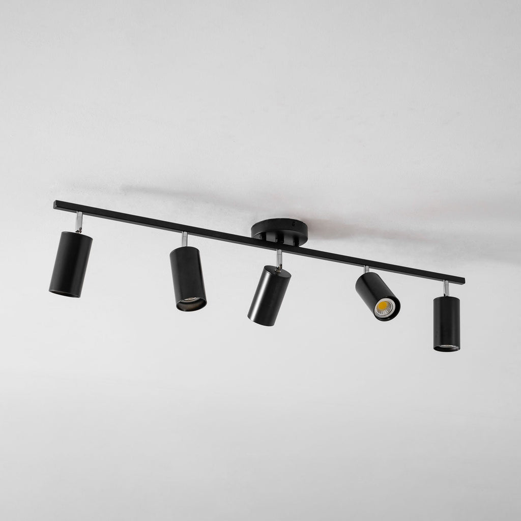Adjustable Ceiling Lights for Modern Interiors