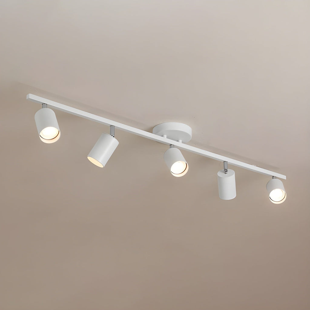 Adjustable Ceiling Lights for Modern Interiors