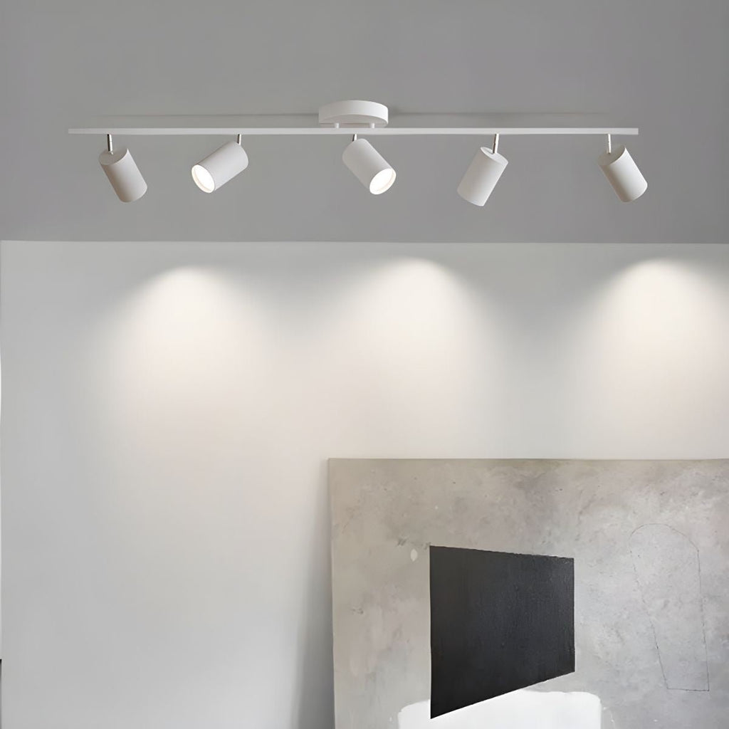 Adjustable Ceiling Lights for Modern Interiors
