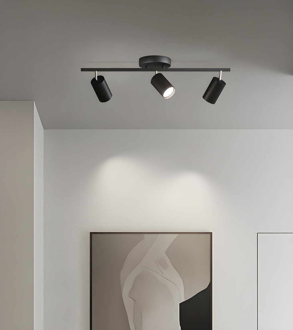Adjustable Ceiling Lights for Modern Interiors