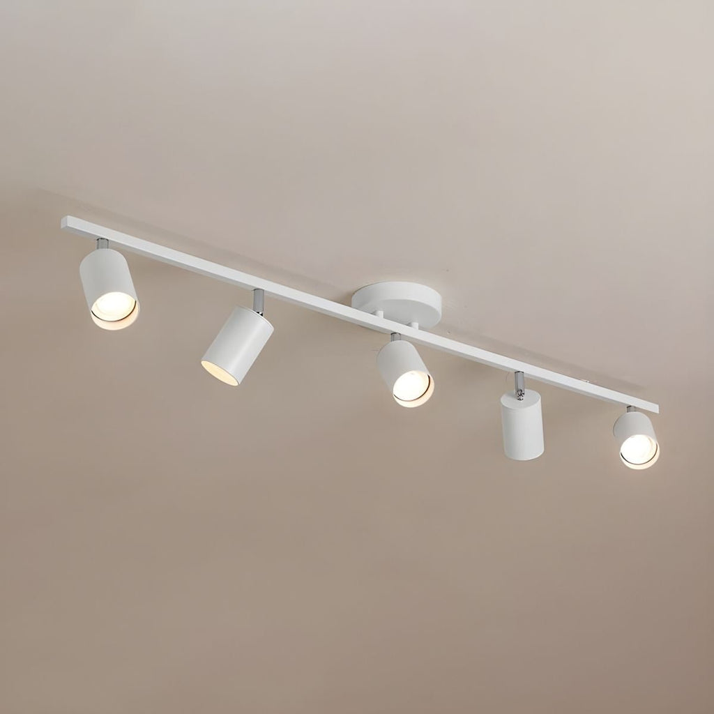 Adjustable Ceiling Lights for Modern Interiors