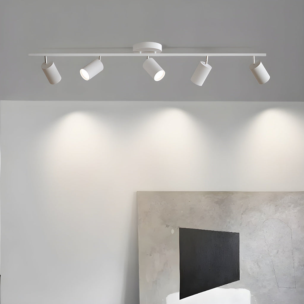 Adjustable Ceiling Lights for Modern Interiors