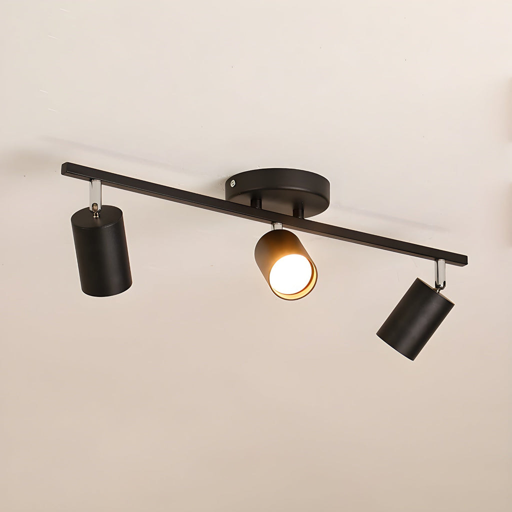 Adjustable Ceiling Lights for Modern Interiors