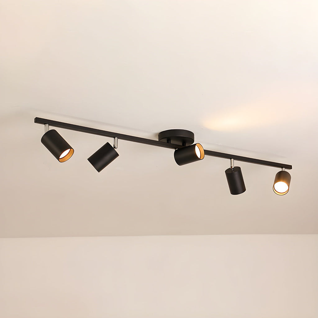 Adjustable Ceiling Lights for Modern Interiors