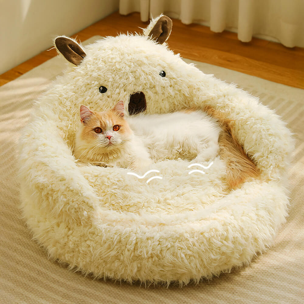 Alpaca‑Inspired Dog Beds for Winter Comfort