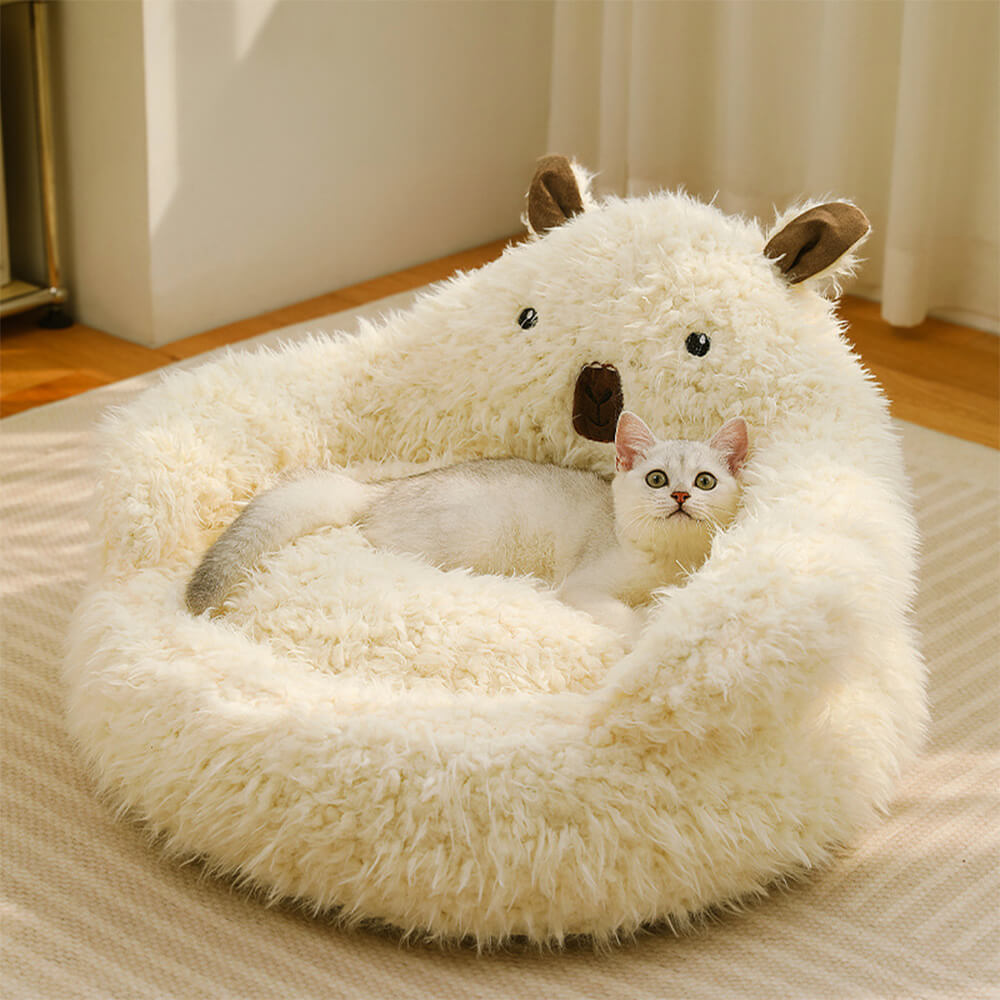 Alpaca‑Inspired Dog Beds for Winter Comfort