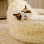Alpaca‑Inspired Dog Beds for Winter Comfort