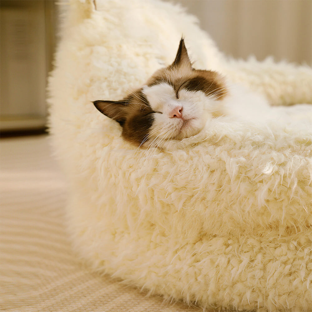 Alpaca‑Inspired Dog Beds for Winter Comfort