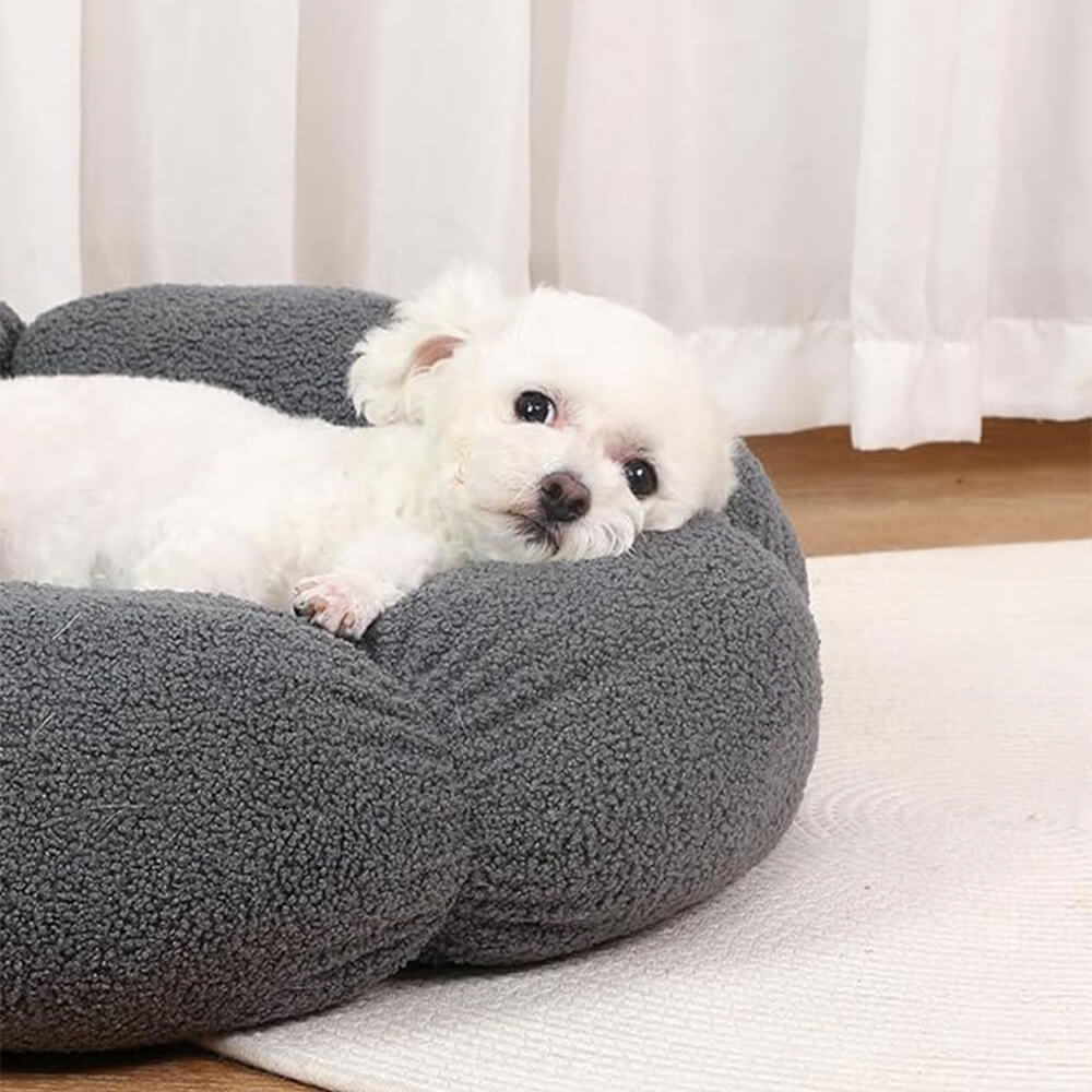 Flower‑Shaped Dog Beds & Cat Retreats