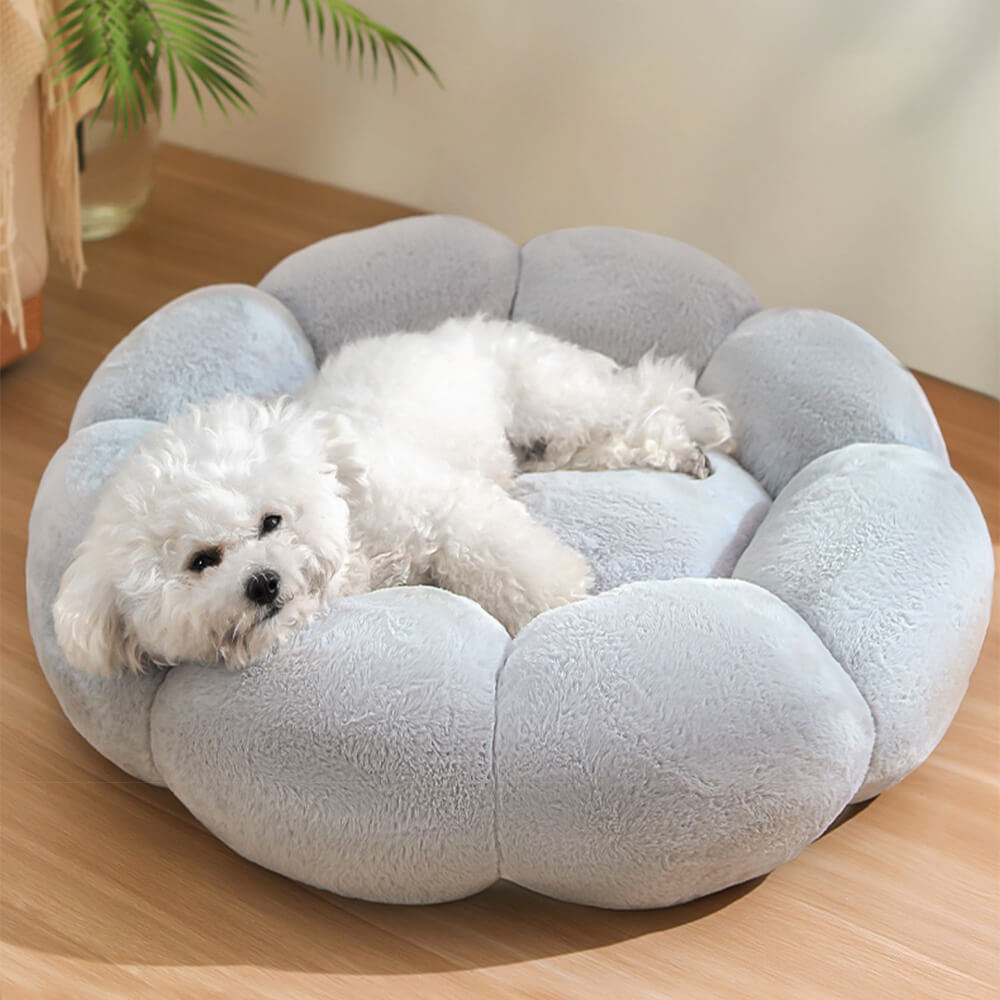 Flower‑Shaped Dog Beds & Cat Retreats