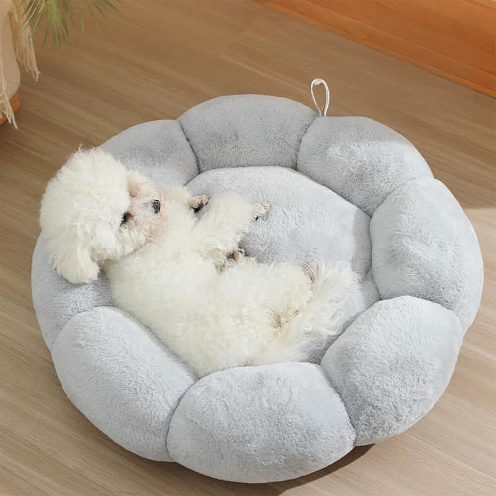 Flower‑Shaped Dog Beds & Cat Retreats