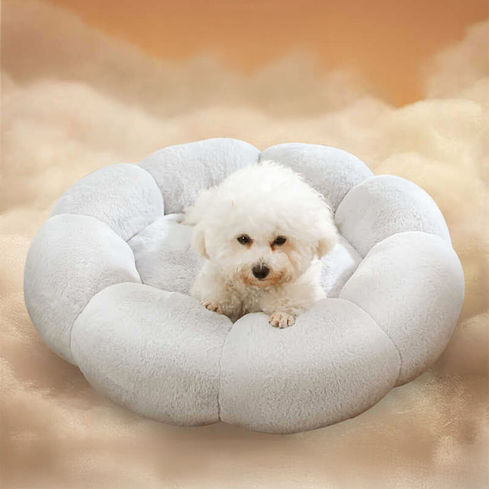 Flower‑Shaped Dog Beds & Cat Retreats