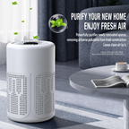 Compact Air Purifier Allergies Pet Hair Dust Quiet Bedroom Home