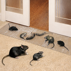 Glue Traps Sticky Mouse Rat Pest Control Boards Indoor Home - Image 7