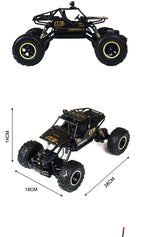 Durable RC Monster Truck with Shockproof Suspension