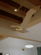 Coastal Drift Wooden Gull Ornament