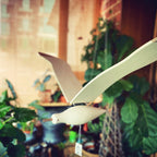 Coastal Drift Wooden Gull Ornament