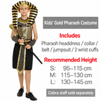 Egyptian Pharaoh Costume - Image 4
