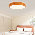 Contemporary  LED Ceiling Light Flush Mount Fixture