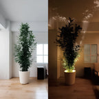 EasyStick™ Spotlight - Image 9
