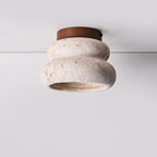 Modern Ceiling Lights with Sculptural Design