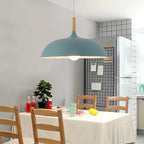 Modern Pendant Ceiling Light Adjustable Hanging Indoor Lamp