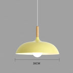 Modern Pendant Ceiling Light Adjustable Hanging Indoor Lamp