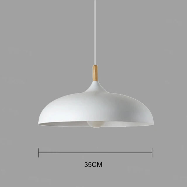 Ceiling Pendant Light Minimal Design Decorative Hanging Light