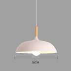 Modern Pendant Ceiling Light Adjustable Hanging Indoor Lamp