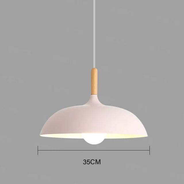 Ceiling Pendant Light Minimal Design Decorative Hanging Light