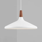 Contemporary Pendant Light Sleek Ceiling Lamp for Home Interiors