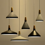 Contemporary Pendant Light Sleek Ceiling Lamp for Home Interiors
