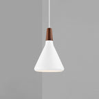 Contemporary Pendant Light Sleek Ceiling Lamp for Home Interiors