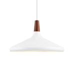 Contemporary Pendant Light Sleek Ceiling Lamp for Home Interiors