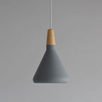 Contemporary Pendant Light Sleek Ceiling Lamp for Home Interiors