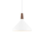 Contemporary Pendant Light Sleek Ceiling Lamp for Home Interiors