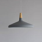 Contemporary Pendant Light Sleek Ceiling Lamp for Home Interiors