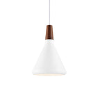 Contemporary Pendant Light Sleek Ceiling Lamp for Home Interiors