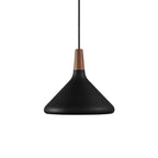 Contemporary Pendant Light Sleek Ceiling Lamp for Home Interiors
