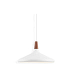Contemporary Pendant Light Sleek Ceiling Lamp for Home Interiors