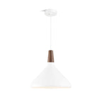 Contemporary Pendant Light Sleek Ceiling Lamp for Home Interiors