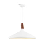 Contemporary Pendant Light Sleek Ceiling Lamp for Home Interiors