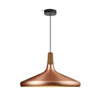Contemporary Pendant Light Sleek Ceiling Lamp for Home Interiors