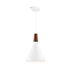 Contemporary Pendant Light Sleek Ceiling Lamp for Home Interiors