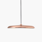 Scandinavian LED Pendant Light Modern Minimalist Ceiling Lighting