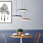 Scandinavian LED Pendant Light Modern Minimalist Ceiling Lighting